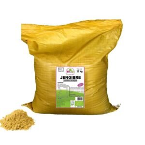 Jengibre en polvo - BIO